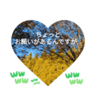 自由の海で探したものは日常挨拶 日本語（個別スタンプ：5）