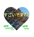 自由の海で探したものは日常挨拶 日本語（個別スタンプ：6）