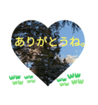 自由の海で探したものは日常挨拶 日本語（個別スタンプ：8）