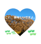 自由の海で探したものは日常挨拶 日本語（個別スタンプ：10）