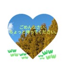 自由の海で探したものは日常挨拶 日本語（個別スタンプ：12）