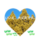 自由の海で探したものは日常挨拶 日本語（個別スタンプ：13）