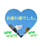 自由の海で探したものは日常挨拶 日本語（個別スタンプ：15）