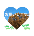 自由の海で探したものは日常挨拶 日本語（個別スタンプ：18）