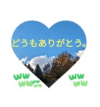 自由の海で探したものは日常挨拶 日本語（個別スタンプ：19）