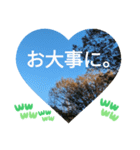 自由の海で探したものは日常挨拶 日本語（個別スタンプ：20）