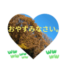 自由の海で探したものは日常挨拶 日本語（個別スタンプ：21）