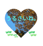 自由の海で探したものは日常挨拶 日本語（個別スタンプ：23）