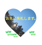 自由の海で探したものは日常挨拶 日本語（個別スタンプ：24）