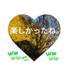 自由の海で探したものは日常挨拶 日本語（個別スタンプ：27）