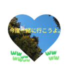 自由の海で探したものは日常挨拶 日本語（個別スタンプ：29）