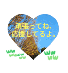 自由の海で探したものは日常挨拶 日本語（個別スタンプ：30）