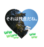 自由の海で探したものは日常挨拶 日本語（個別スタンプ：31）