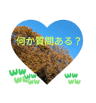 自由の海で探したものは日常挨拶 日本語（個別スタンプ：32）