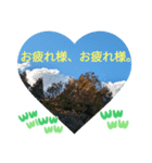 自由の海で探したものは日常挨拶 日本語（個別スタンプ：33）