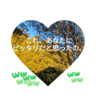 自由の海で探したものは日常挨拶 日本語（個別スタンプ：34）