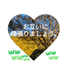 自由の海で探したものは日常挨拶 日本語（個別スタンプ：35）