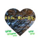 自由の海で探したものは日常挨拶 日本語（個別スタンプ：40）