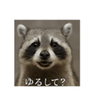 おふざけアニマルシリーズ(哺乳類編)（個別スタンプ：3）