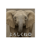 おふざけアニマルシリーズ(哺乳類編)（個別スタンプ：5）