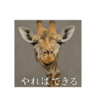おふざけアニマルシリーズ(哺乳類編)（個別スタンプ：7）