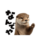 動く！デカ文字カワウソ（個別スタンプ：5）