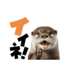 動く！デカ文字カワウソ（個別スタンプ：7）