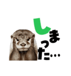 動く！デカ文字カワウソ（個別スタンプ：9）