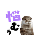 動く！デカ文字カワウソ（個別スタンプ：13）