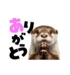 動く！デカ文字カワウソ（個別スタンプ：14）