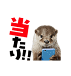 動く！デカ文字カワウソ（個別スタンプ：15）