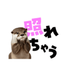 動く！デカ文字カワウソ（個別スタンプ：18）