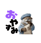 動く！デカ文字カワウソ（個別スタンプ：23）