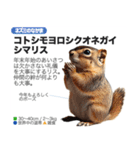 架空動物図鑑(あけおめVer)再編集版（個別スタンプ：6）