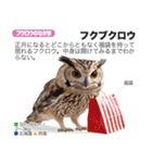 架空動物図鑑(あけおめVer)再編集版（個別スタンプ：11）