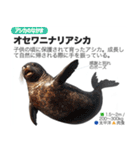 架空動物図鑑(あけおめVer)再編集版（個別スタンプ：19）