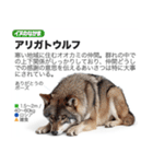 架空動物図鑑(あけおめVer)再編集版（個別スタンプ：22）