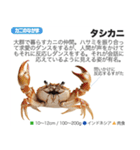 架空動物図鑑(あけおめVer)再編集版（個別スタンプ：24）