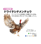 架空動物図鑑(あけおめVer)再編集版（個別スタンプ：29）