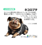 架空動物図鑑(あけおめVer)再編集版（個別スタンプ：35）