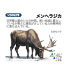架空動物図鑑(あけおめVer)再編集版（個別スタンプ：37）