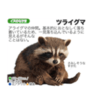 架空動物図鑑(あけおめVer)再編集版（個別スタンプ：38）