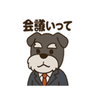 ビジネスシュナのシュナ課長（個別スタンプ：12）