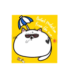 まんまるねこ～スタンプ②～（個別スタンプ：2）