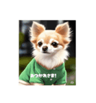 わが家のチビたち チワワ（個別スタンプ：3）