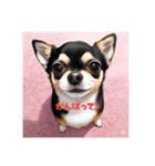 わが家のチビたち チワワ（個別スタンプ：5）
