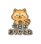 ほっこりアライグマのやさしい言葉（個別スタンプ：5）
