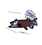 魚スタンプ第14弾 ～珍しい魚編～（個別スタンプ：5）