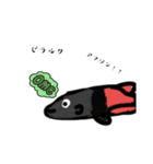 魚スタンプ第14弾 ～珍しい魚編～（個別スタンプ：7）