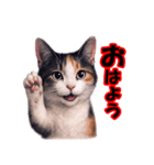 少しリアルな三毛猫の日常会話（個別スタンプ：1）